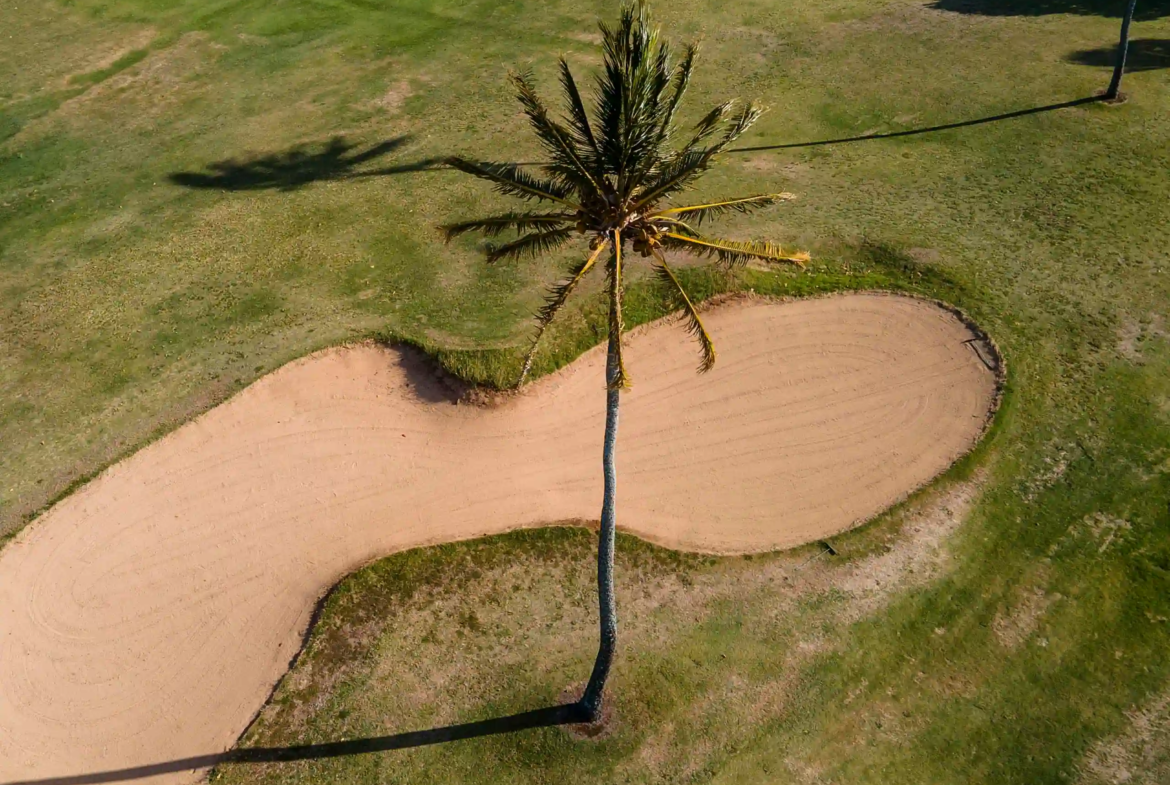 El Amor por el Golf en Marbella
